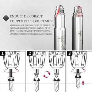 Extracteur de vis (4 Pcs/5pcs/6pcs)