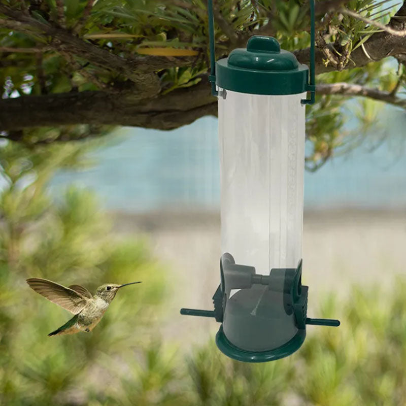 🐦Mangeoire à oiseaux anti-écureuil