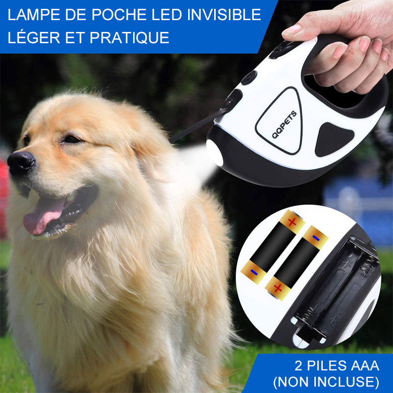 LED Laisse pour Animaux de Compagnie Rétractable - ciaovie