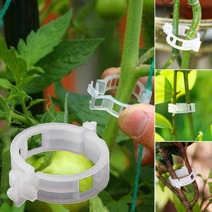 Clips de support pour plantes