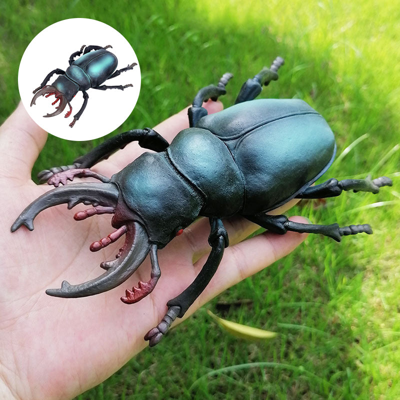 Modèle d'insecte simulé