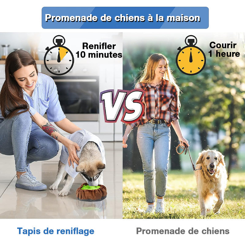 Couverture de reniflage pour animaux de compagnie